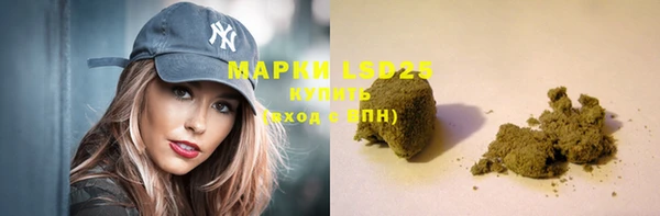 винт Алзамай