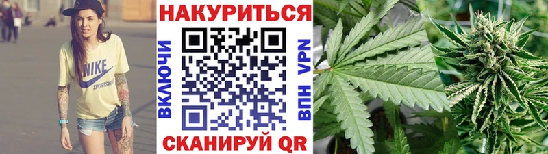 наркошоп  Щёкино  Марихуана сатива 